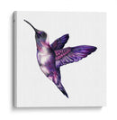Colibrí morado | Cuadro decorativo de Canvas Lab
