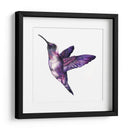 Colibrí morado | Cuadro decorativo de Canvas Lab