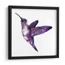Colibrí morado | Cuadro decorativo de Canvas Lab