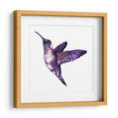 Colibrí morado | Cuadro decorativo de Canvas Lab