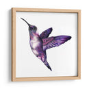 Colibrí morado | Cuadro decorativo de Canvas Lab