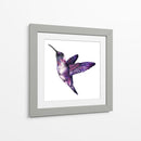 Colibrí morado | Cuadro decorativo de Canvas Lab