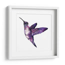 Colibrí morado | Cuadro decorativo de Canvas Lab