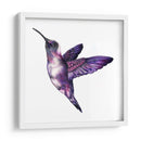 Colibrí morado | Cuadro decorativo de Canvas Lab
