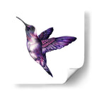Colibrí morado | Cuadro decorativo de Canvas Lab