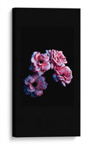 Cuatro flores | Cuadro decorativo de Canvas Lab