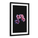 Cuatro flores | Cuadro decorativo de Canvas Lab