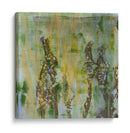 Flor Del Campo I - Jennifer Goldberger | Cuadro decorativo de Canvas Lab