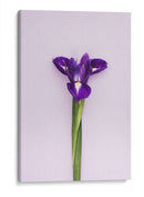 Detalle en lila | Cuadro decorativo de Canvas Lab