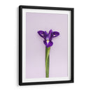 Detalle en lila | Cuadro decorativo de Canvas Lab