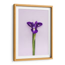 Detalle en lila | Cuadro decorativo de Canvas Lab