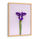 Detalle en lila | Cuadro decorativo de Canvas Lab