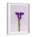 Detalle en lila | Cuadro decorativo de Canvas Lab