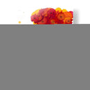 Amapola Banal IV - Cheryl Baynes | Cuadro decorativo de Canvas Lab