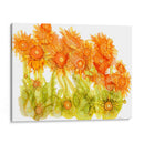 Iluminada Por El Sol Amapolas I - Cheryl Baynes | Cuadro decorativo de Canvas Lab