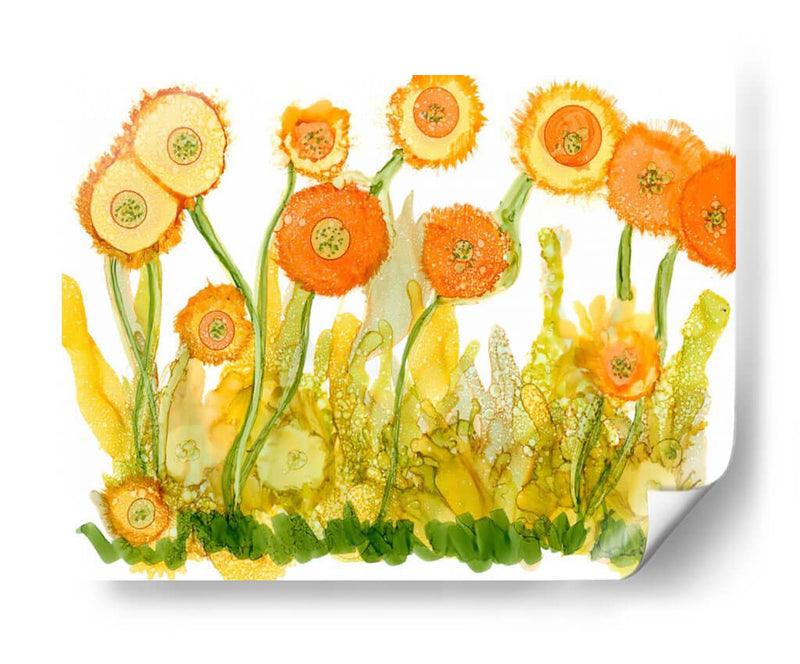 Iluminada Por El Sol Amapolas II - Cheryl Baynes | Cuadro decorativo de Canvas Lab