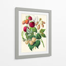 Dibujo de moras | Cuadro decorativo de Canvas Lab