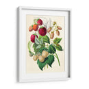 Dibujo de moras | Cuadro decorativo de Canvas Lab