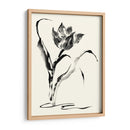 Los Estudios Realizados En Tinta - Tulip - Nan Rae | Cuadro decorativo de Canvas Lab
