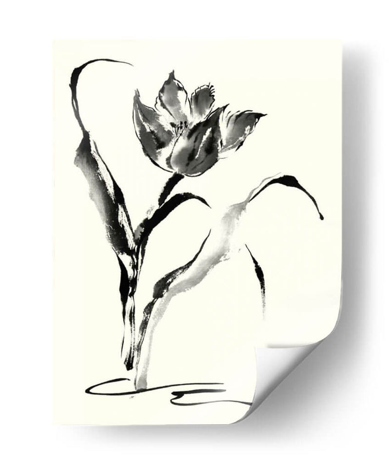 Los Estudios Realizados En Tinta - Tulip - Nan Rae | Cuadro decorativo de Canvas Lab