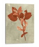 Impresiones En Terra Cotta - Vision Studio | Cuadro decorativo de Canvas Lab