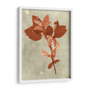 Impresiones En Terra Cotta - Vision Studio | Cuadro decorativo de Canvas Lab