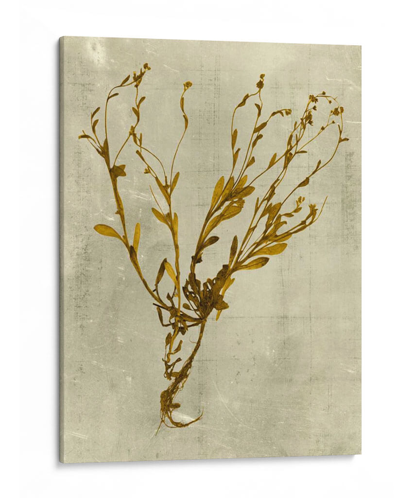Impresiones En Mostaza - Vision Studio | Cuadro decorativo de Canvas Lab