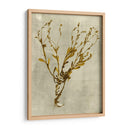 Impresiones En Mostaza - Vision Studio | Cuadro decorativo de Canvas Lab