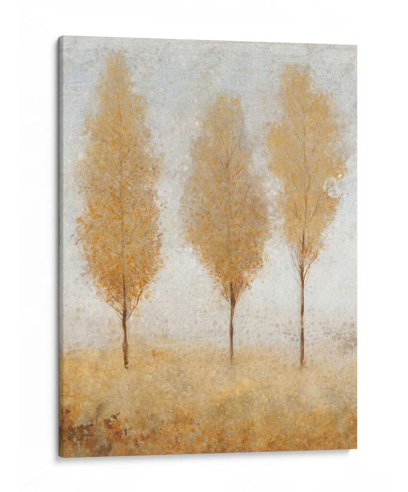 Otoño Resortes I - Tim OToole | Cuadro decorativo de Canvas Lab