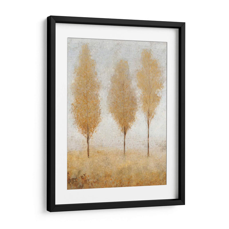 Otoño Resortes I - Tim OToole | Cuadro decorativo de Canvas Lab