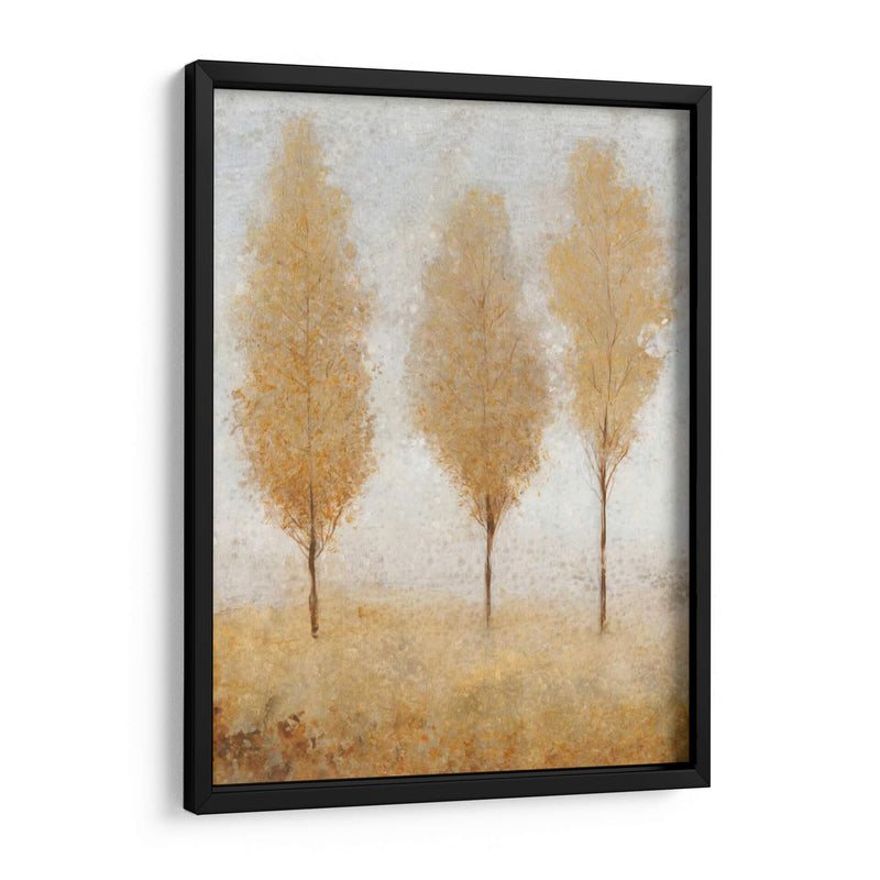 Otoño Resortes I - Tim OToole | Cuadro decorativo de Canvas Lab