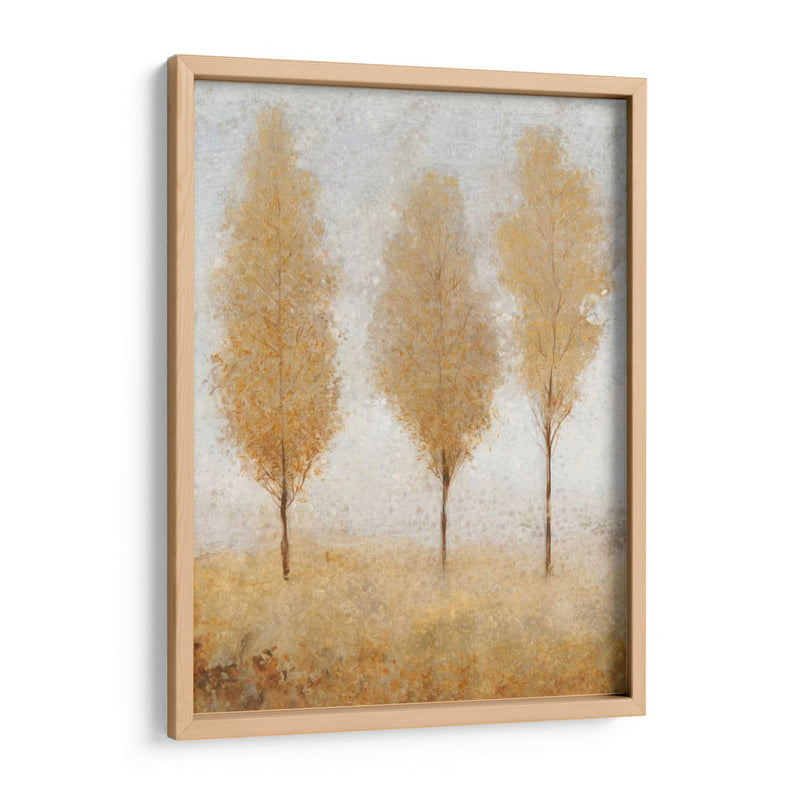 Otoño Resortes I - Tim OToole | Cuadro decorativo de Canvas Lab