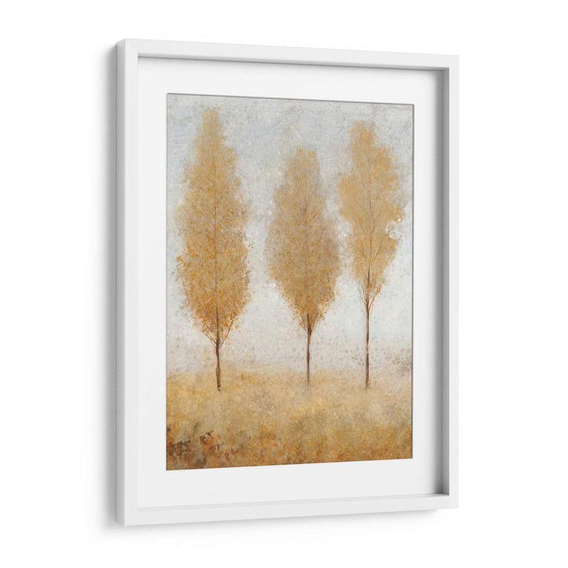 Otoño Resortes I - Tim OToole | Cuadro decorativo de Canvas Lab