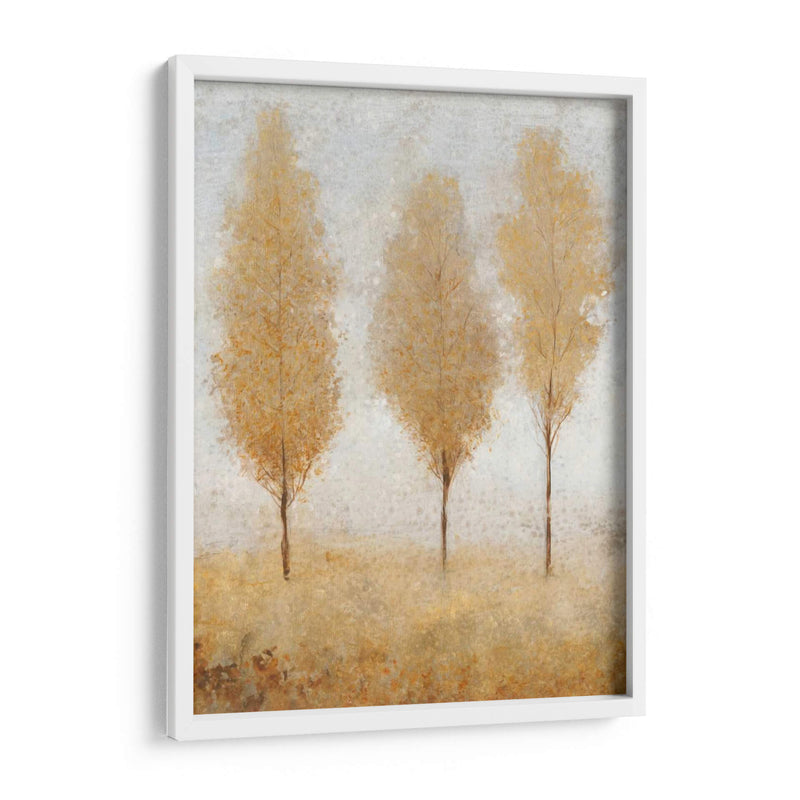 Otoño Resortes I - Tim OToole | Cuadro decorativo de Canvas Lab