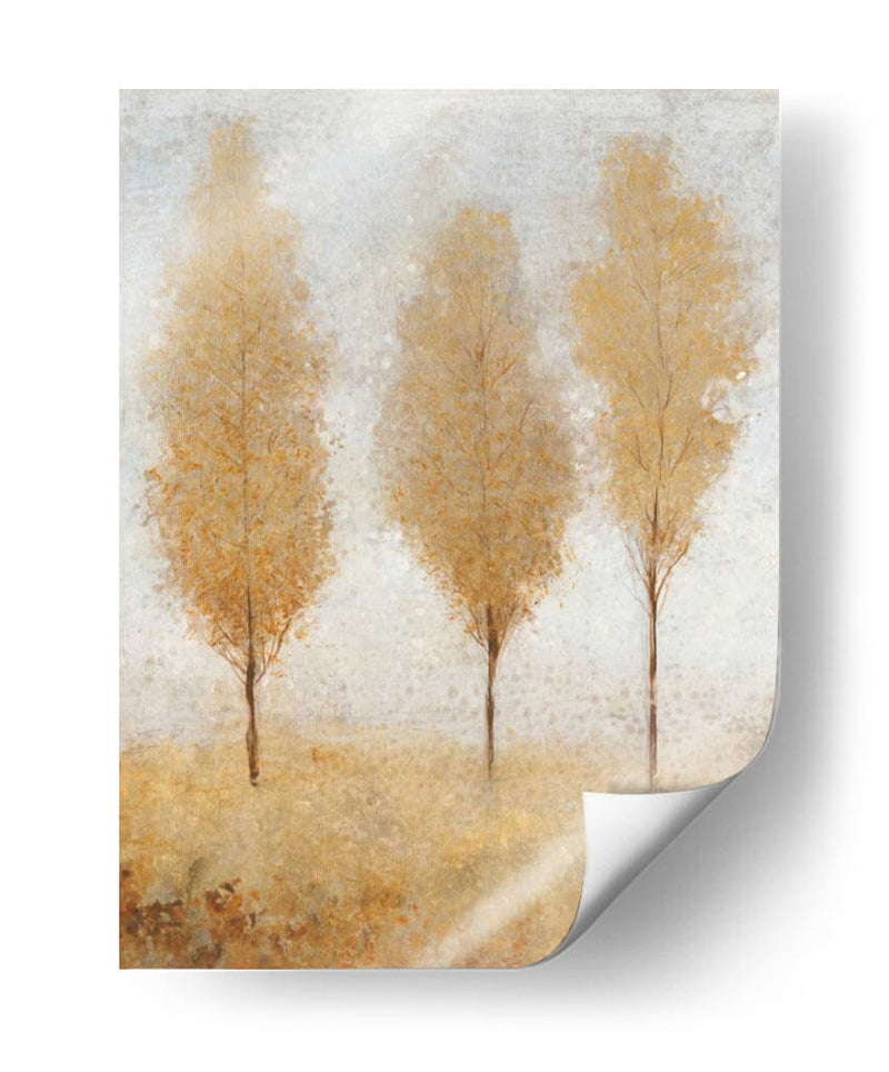 Otoño Resortes I - Tim OToole | Cuadro decorativo de Canvas Lab