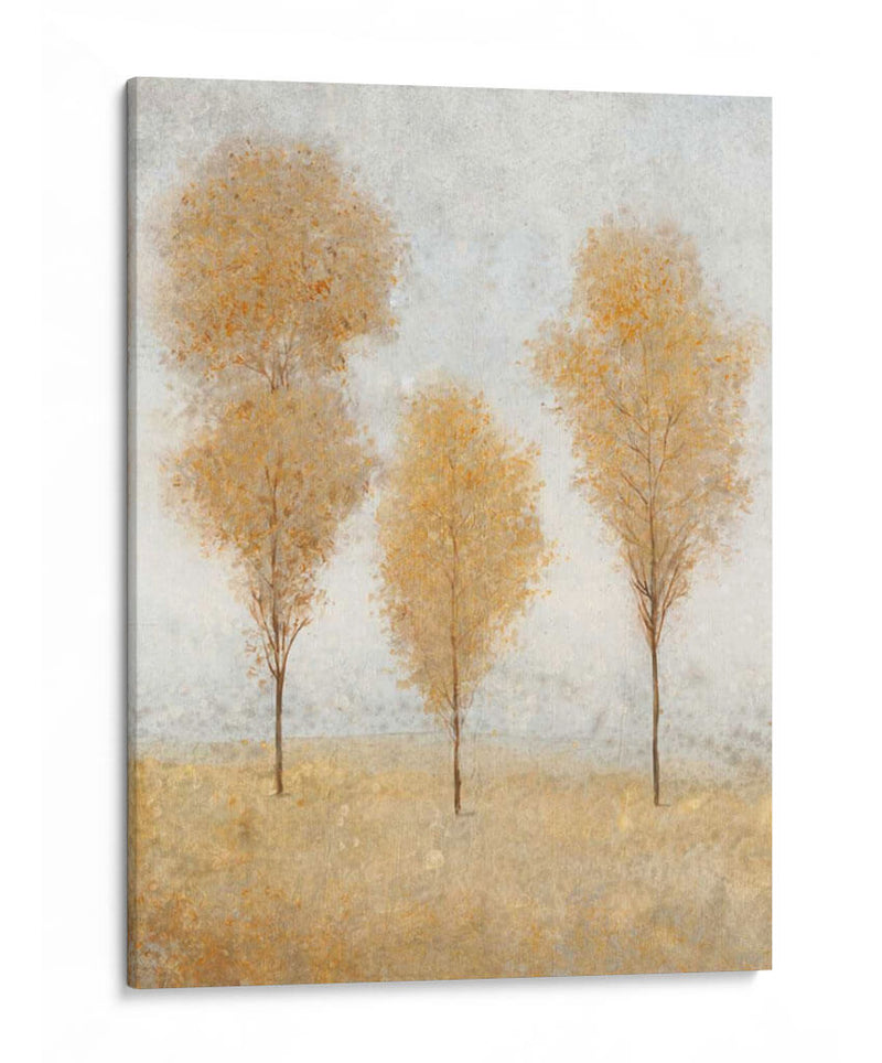 Otoño Resortes II - Tim OToole | Cuadro decorativo de Canvas Lab