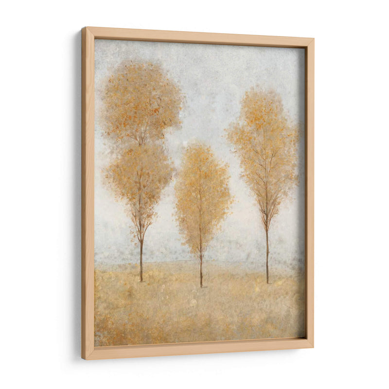 Otoño Resortes II - Tim OToole | Cuadro decorativo de Canvas Lab