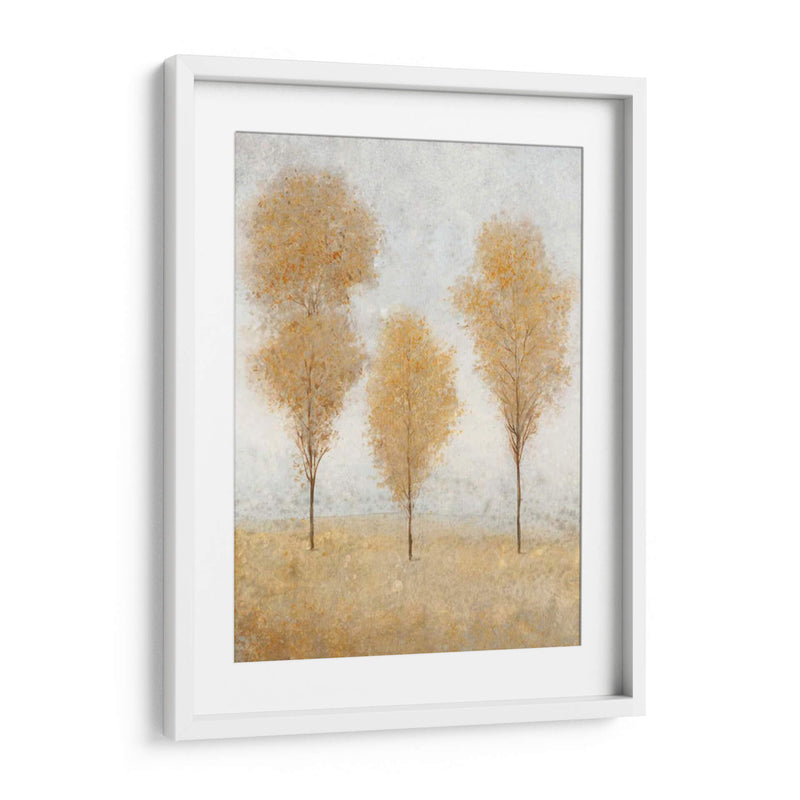 Otoño Resortes II - Tim OToole | Cuadro decorativo de Canvas Lab