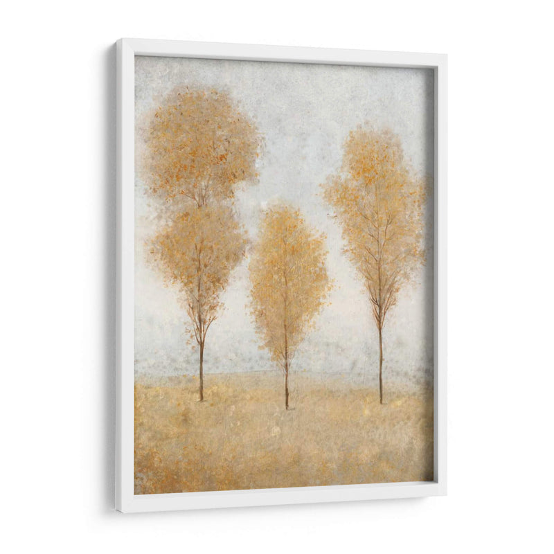 Otoño Resortes II - Tim OToole | Cuadro decorativo de Canvas Lab