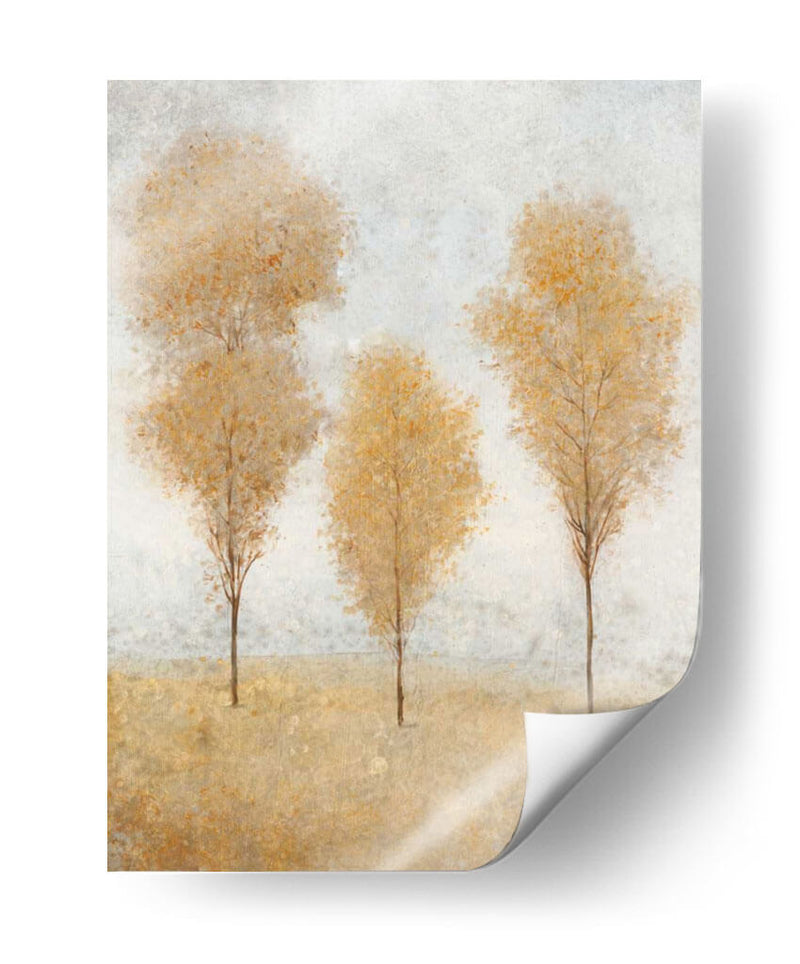 Otoño Resortes II - Tim OToole | Cuadro decorativo de Canvas Lab