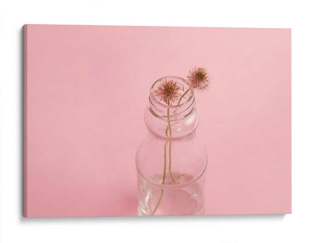 Dos flores en agua | Cuadro decorativo de Canvas Lab