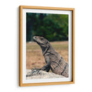 El curioso | Cuadro decorativo de Canvas Lab