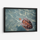 El nado de la tortuga | Cuadro decorativo de Canvas Lab
