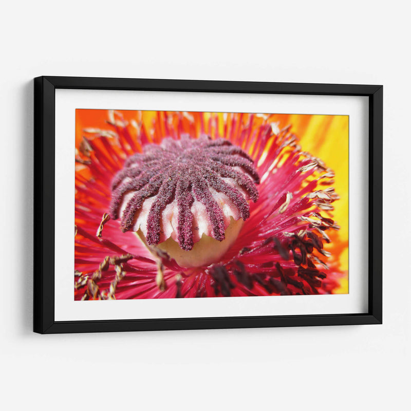 El polen | Cuadro decorativo de Canvas Lab