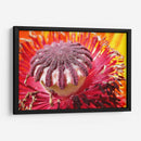 El polen | Cuadro decorativo de Canvas Lab