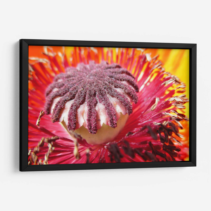 El polen | Cuadro decorativo de Canvas Lab