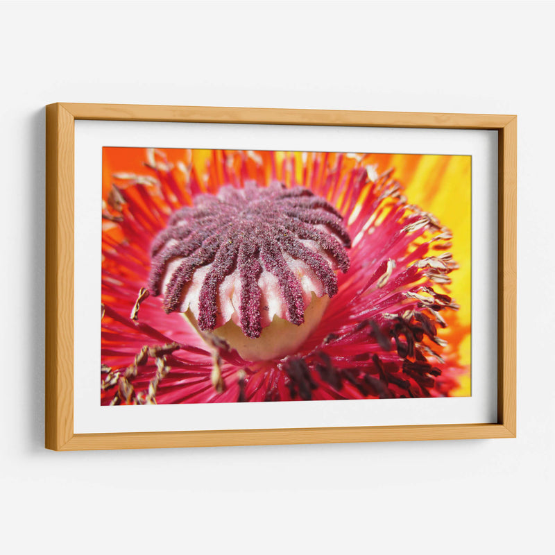 El polen | Cuadro decorativo de Canvas Lab