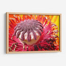 El polen | Cuadro decorativo de Canvas Lab