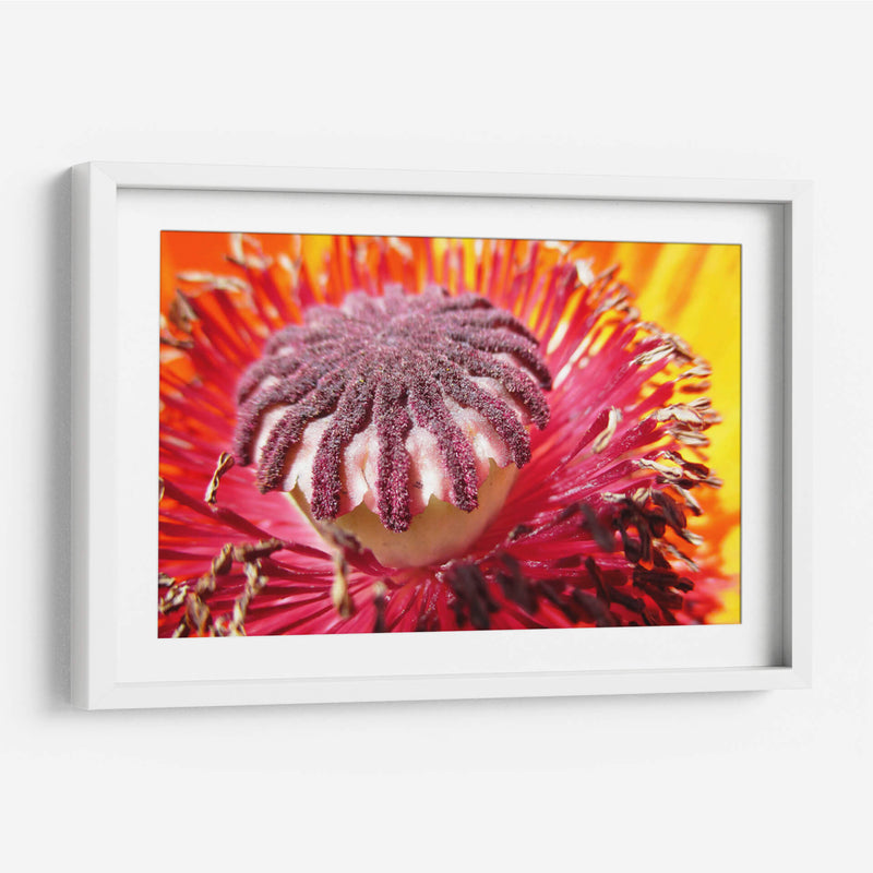 El polen | Cuadro decorativo de Canvas Lab
