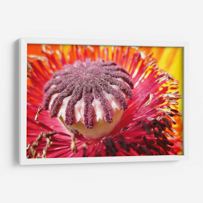 El polen | Cuadro decorativo de Canvas Lab